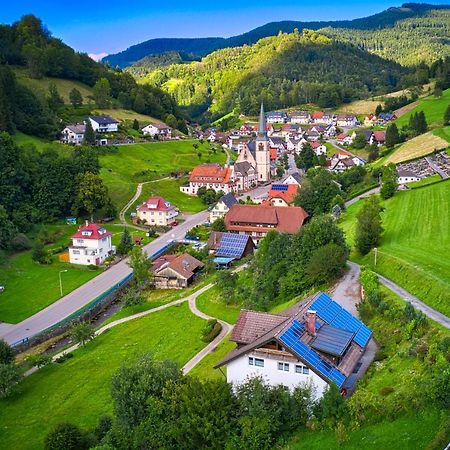 Steepleview House, Schwarzwaldblick Apartment - Spacious & Peaceful Bad Peterstal-Griesbach Dış mekan fotoğraf