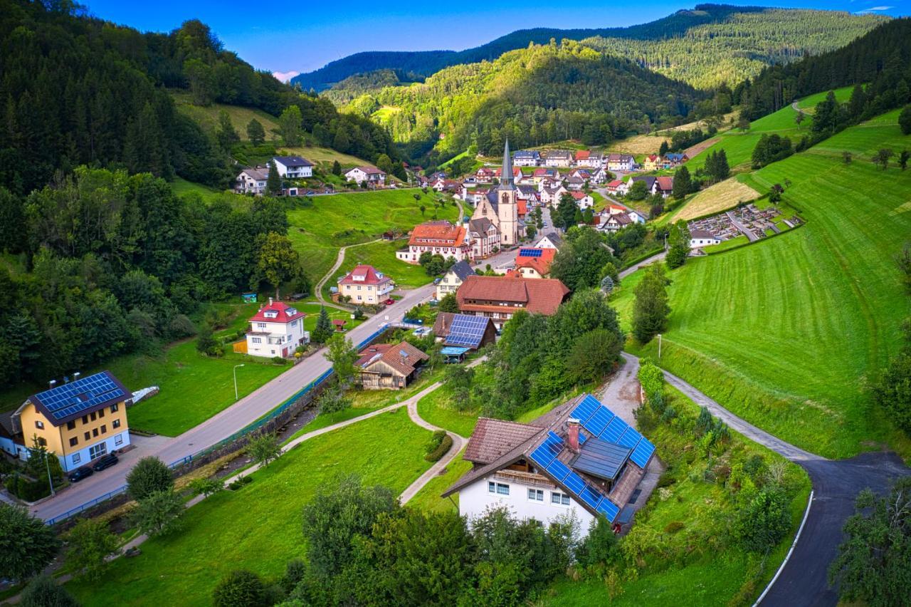 Steepleview House, Schwarzwaldblick Apartment - Spacious & Peaceful Bad Peterstal-Griesbach Dış mekan fotoğraf